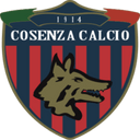 team logo