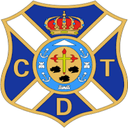 team logo