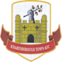 team logo