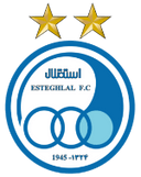 team logo