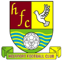 team logo