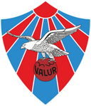 team logo