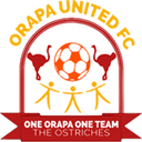team logo