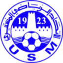 team logo