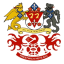 team logo