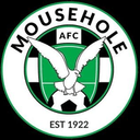 team logo