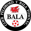 team logo