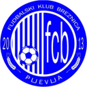 team logo