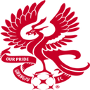 team logo