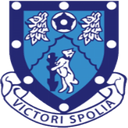 team logo
