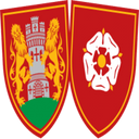 team logo