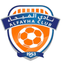 team logo