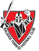 team logo