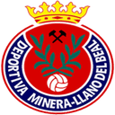 team logo