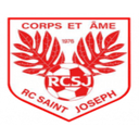 team logo