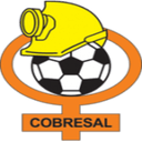team logo