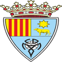 team logo