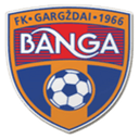 team logo