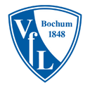 team logo