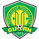 team logo