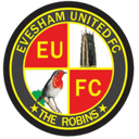 team logo