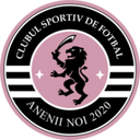 team logo