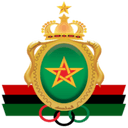 team logo