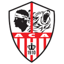 team logo